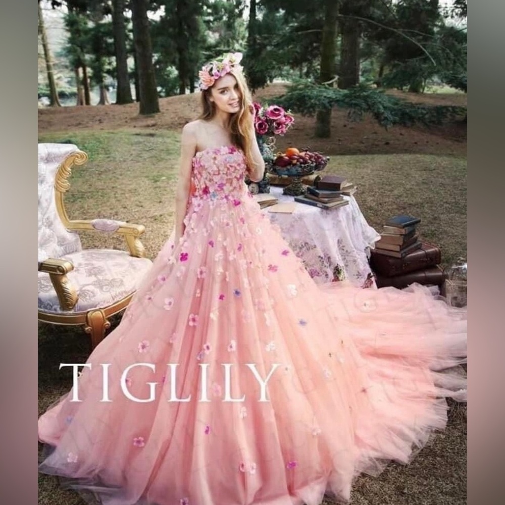 ( DM 1st) Peach Tulle Floral Appliqué Wedding or Quinceañera Gown Size 12-14
